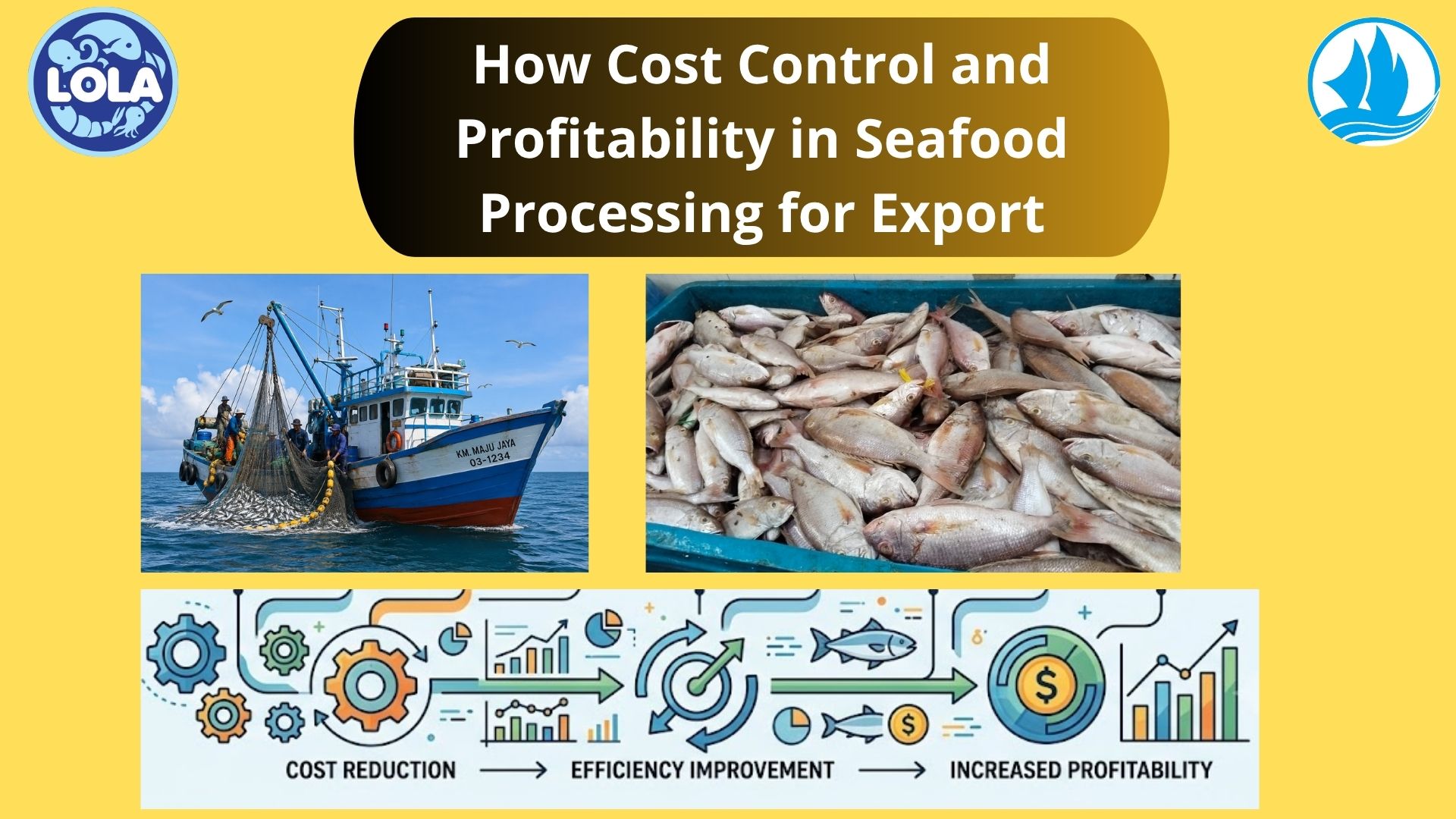  How Cost Control and Profitability in Seafood Processing for Export